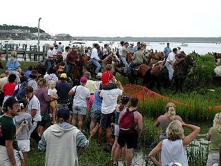 P7260896.jpg