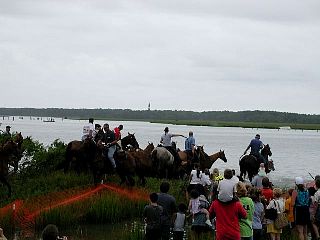 P7260897.jpg