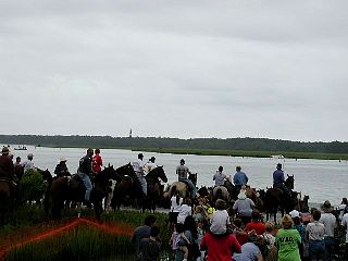 P7260898.jpg