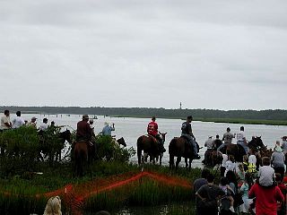 P7260899.jpg