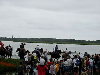 P7260900.jpg