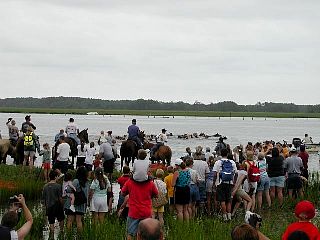 P7260901.jpg