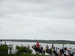 P7260902.jpg