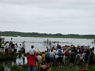 P7260903.jpg