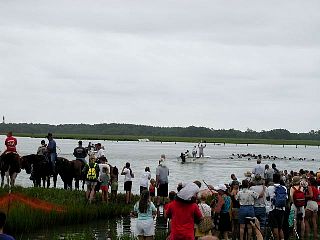 P7260904.jpg