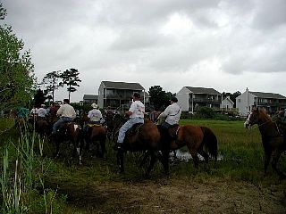 P7260906.jpg