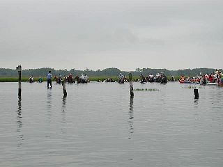 P7240716.jpg