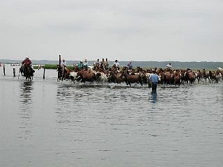 P7240720.jpg