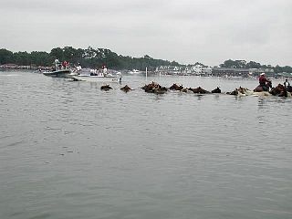 P7240722.jpg