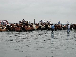 P7240723.jpg