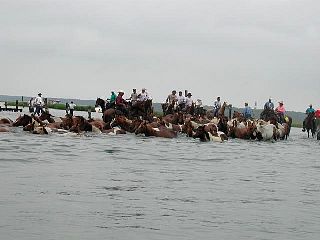 P7240725.jpg