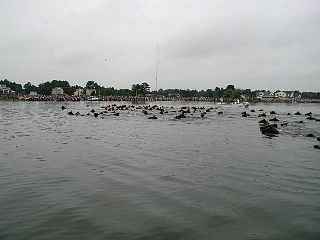 P7240731.jpg