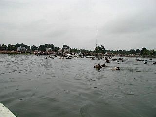 P7240734.jpg