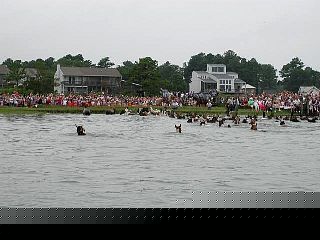 P7240737.jpg