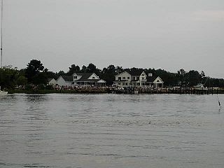 P7240670.jpg