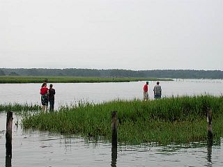 P7240674.jpg