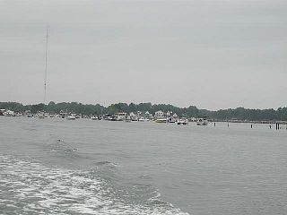 P7240679.jpg