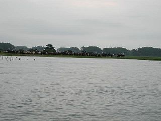P7240680.jpg