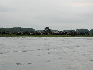 P7240681.jpg