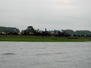 P7240682.jpg