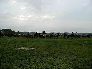 P7240684.jpg