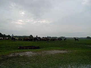 P7240685.jpg