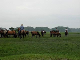 P7240686.jpg