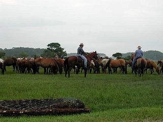 P7240687.jpg