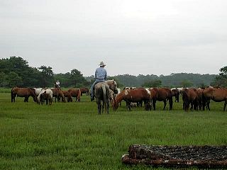 P7240688.jpg