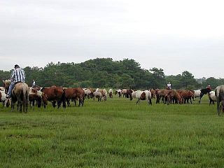 P7240689.jpg
