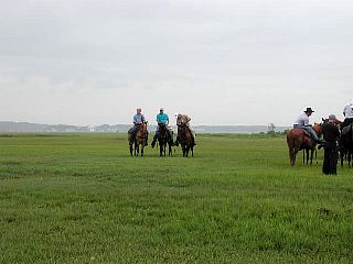 P7240691.jpg
