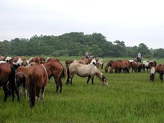 P7240693.jpg