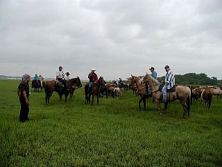 P7240694.jpg