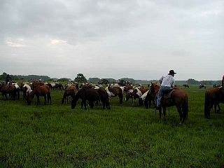 P7240695.jpg
