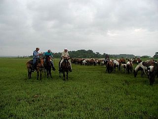 P7240697.jpg