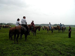 P7240700.jpg