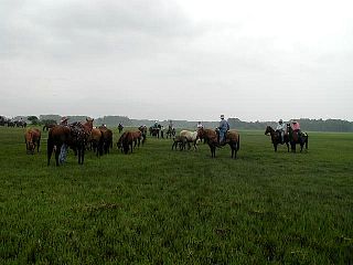 P7240701.jpg