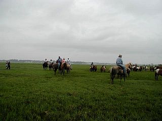 P7240703.jpg
