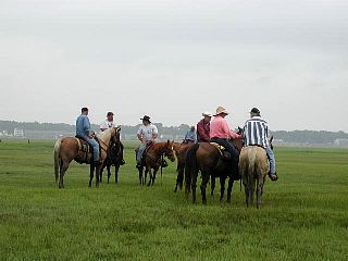 P7240704.jpg