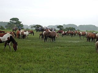 P7240707.jpg
