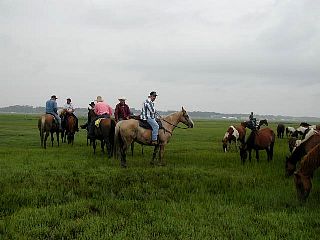 P7240708.jpg