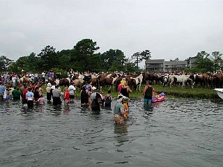 P7240751.jpg