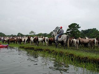 P7240752.jpg