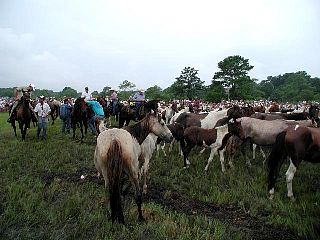 P7240755.jpg