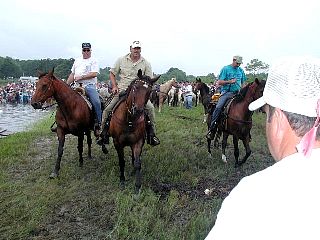 P7240756.jpg