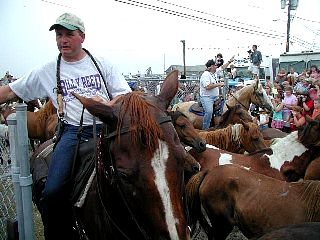 P7240771.jpg