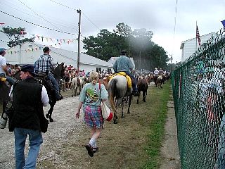 P7240778.jpg