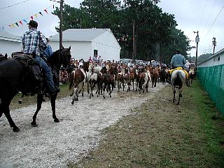 P7240779.jpg