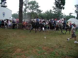 P7240783.jpg