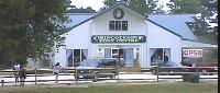 Chincoteague Pony Centre